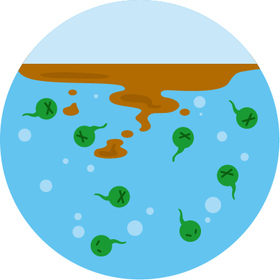 水が汚染される様子