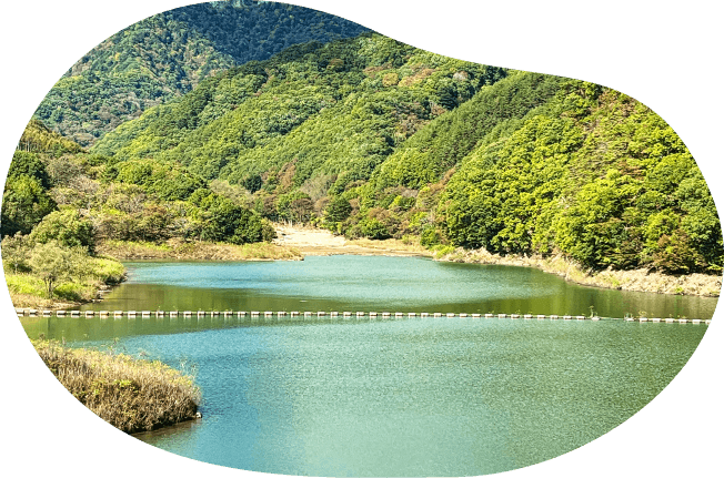 緑と湖の写真